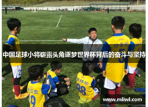 中国足球小将崭露头角逐梦世界杯背后的奋斗与坚持