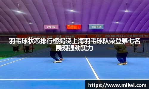 羽毛球状态排行榜揭晓上海羽毛球队荣登第七名展现强劲实力